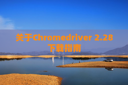 关于Chromedriver 2.28下载指南